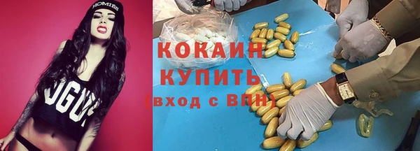 амф Ельня