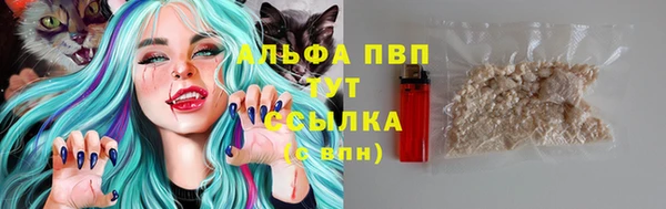 амф Ельня