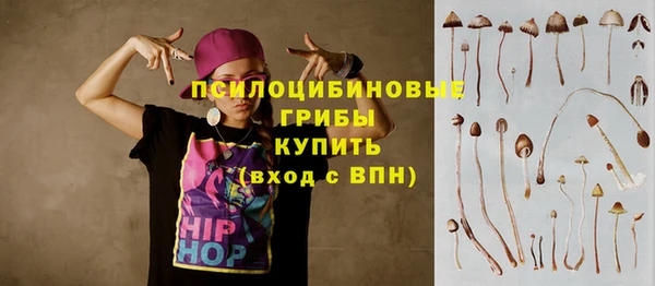 сатива Гусев