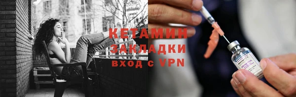 прущие грибы Дмитриев