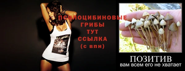 прущий лед Дмитровск