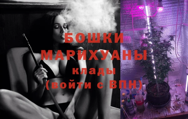 стаф Елабуга
