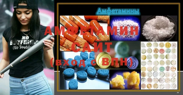 амф Ельня