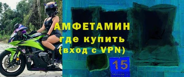 амф Ельня