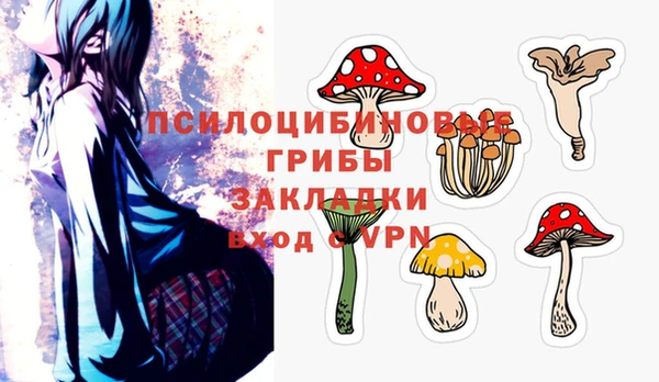 стаф Елабуга