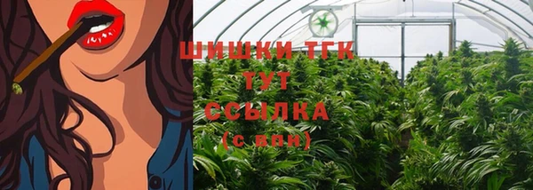 стаф Елабуга