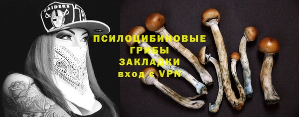 прущий лед Дмитровск
